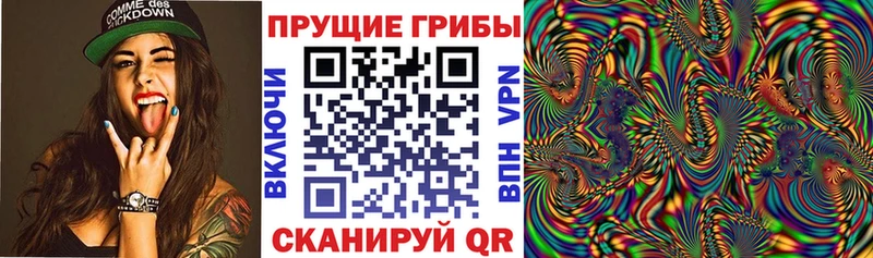 Галлюциногенные грибы ЛСД  MEGA tor  Ростов-на-Дону  магазин продажи наркотиков 