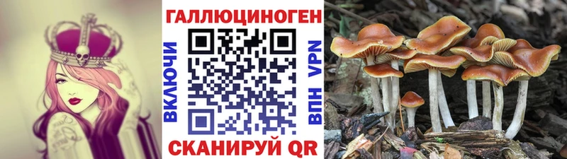 Галлюциногенные грибы мицелий Ростов-на-Дону