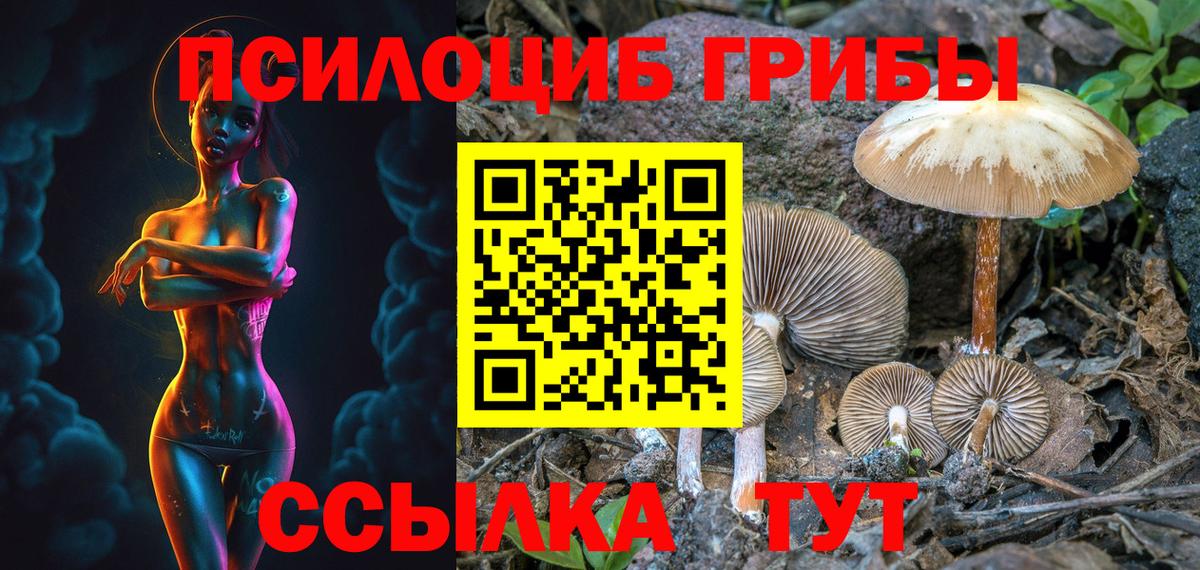 Галлюциногенные грибы Psilocybe  как найти   Ростов-на-Дону  Вход с VPN 